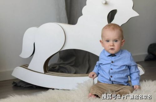 宝宝取名：金牛男的男宝宝怎么取名（金牛男宝宝名字大全）