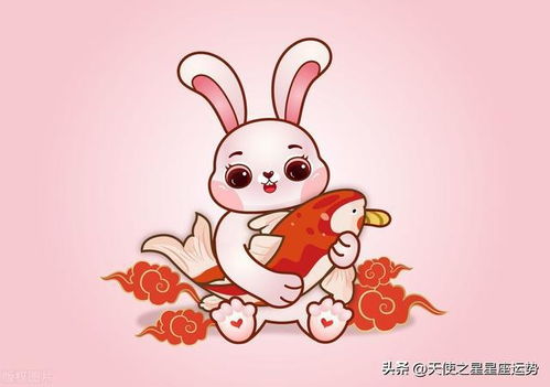 生肖兔处女座近期运势（处女座生肖兔今日运势）