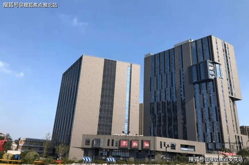 金牛近期破财运势如何看（金牛2021运势超准）