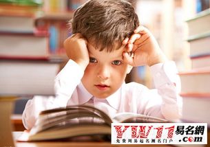 宝宝取名：狗宝宝儿子取名怎么取（狗儿子名字）