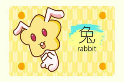 今日运势：兔女今年今日运势（兔女今年今日运势怎么样）