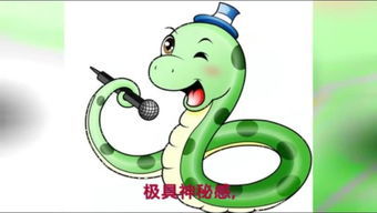 今日运势：蛇今日运势查询财运（蛇人今日运势与财运）