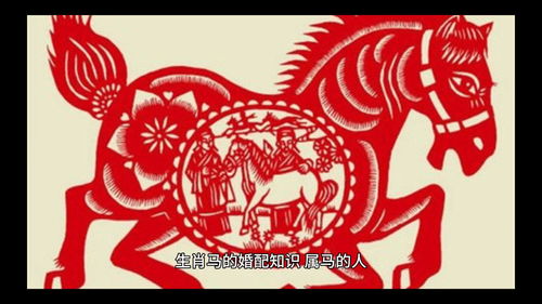 八字合婚：属马两人八字合婚吗女的（属马和属马的八字合吗）