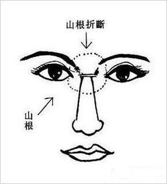 面相看人的近期运势图片（看看面相）
