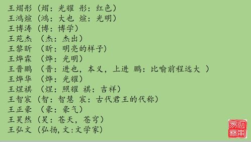 宝宝取名：宝宝取名王字姓名怎么取（王字怎么取名字男孩的名字）