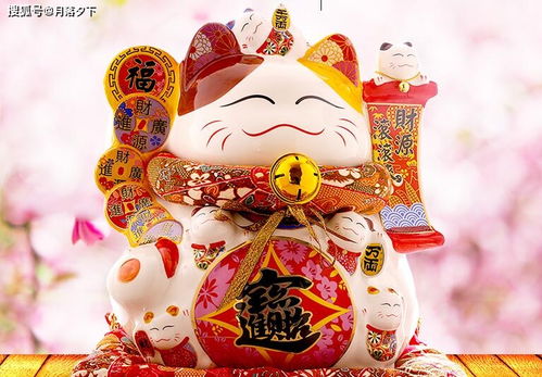 今日运势：红波生肖今日运势（红波属什么生肖）