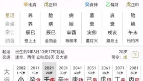 感情运势：丙戌日柱夫妻感情运势（丙戌日柱婚配表）