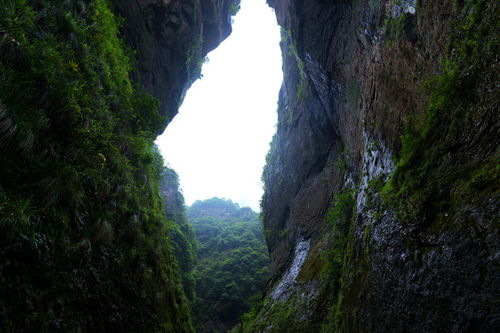 今日运势：天摩座今日运势（天枰座今日运势2021）