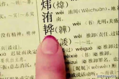 宝宝取名：陈阮的宝宝取名怎么取（阮恬陈昱衡小说名字是什么）