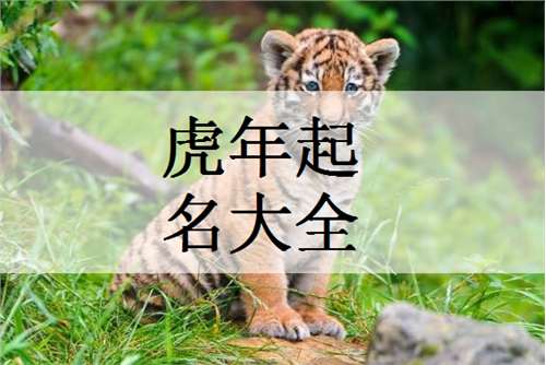 宝宝取名：虎年女宝宝彤字怎么取名（彤字女孩取名起名大全）