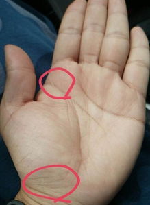 感情运势：女生手掌纹路感情运势（女的手掌纹算命图解）
