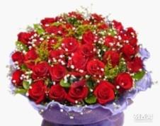 郑州鲜花速递