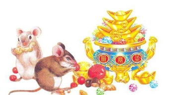 今日运势：属兔今日运势12.12（属兔今日运势偏财运生辰财神方位）