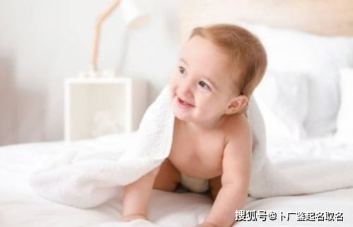 宝宝取名：狗的小名虎宝宝怎么取名（狗字的小名）