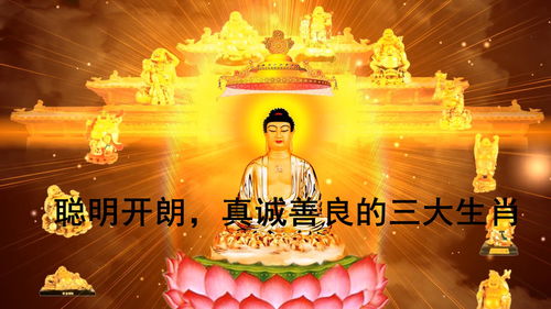 今日运势：生肖玄学今日运势解析（生肖今日运程解析）