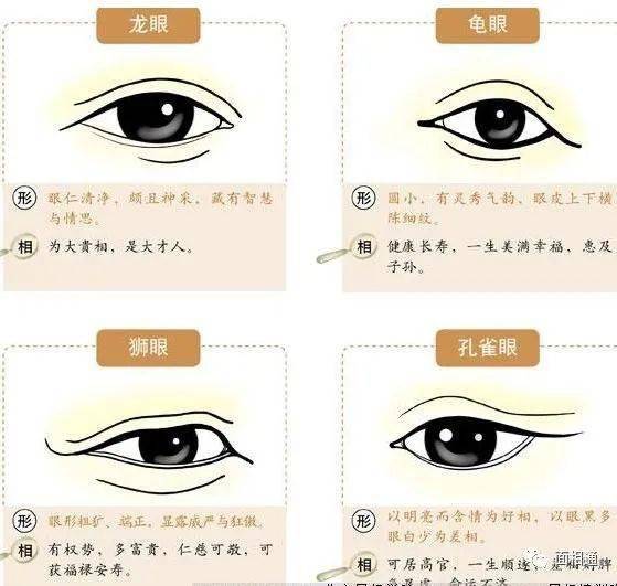 感情运势：哪些面相特征与感情运势有关（面相,决定人一生的命运!不是迷信)