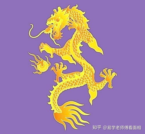 感情运势：属龙男春节感情运势如何（属龙男2021年感情运势）