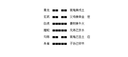 感情运势：梅花起卦算感情运势吗（梅花卦怎么起）