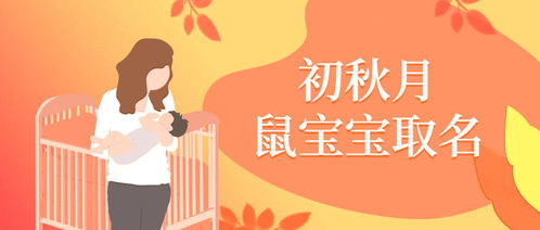 宝宝取名：龙年隋姓宝宝取名怎么取（姓隋的名字洋气）