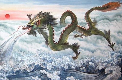 88年属龙近期运势怎样（88年属龙近几年运势）