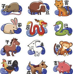 今日运势：生肖蛇今日运势大全（生肖蛇今日运势运程事业财运及方位）