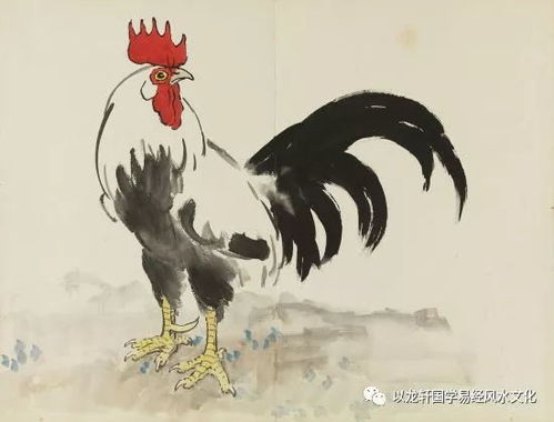 今日运势：生肖运势属鸡今日运（属鸡的今日运势?