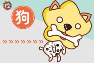 今日运势：属狗男的今日运势（属狗的人今日运势360星座网）
