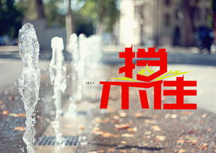 近期爱情运势如何呢知乎（近期感情运势）