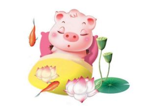 今日运势：输猪的今日运势（猪今日的运气如何）