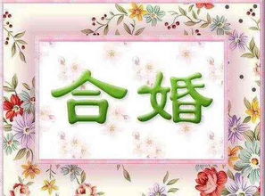八字合婚：八字合婚合四个字怎么样（八字合婚四合是好姻缘么）