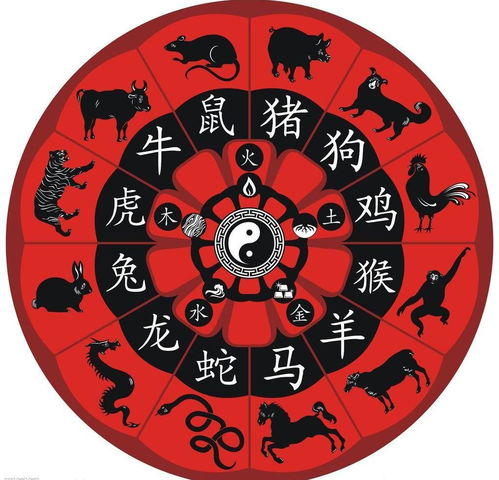 今日运势：龙生肖的今日运势（12生肖今日运势查询属龙l）