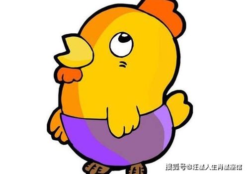 感情运势：属鸡5月运势感情如何呢（属鸡5月运势感情如何呢女生）