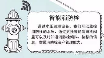 感情运势：测个人感情运势准吗女性（测感情什么最准）