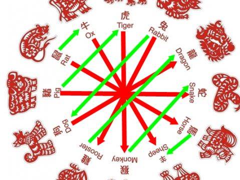 八字合婚：蛇和马的八字合婚好不好（蛇和马婚姻配不配）