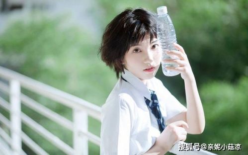 感情运势：王安宇感情运势如何样（王安宇感情经历）