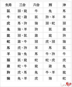 八字合婚：属鼠八字合不合婚姻好的（属鼠的八字相合的属相）