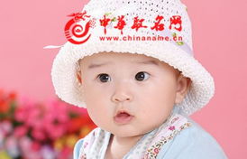 宝宝取名：兔宝宝金火名字怎么取名（金火的名字）