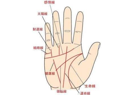 感情运势：女人手掌纹路感情运势（女手掌纹路代表的意义）