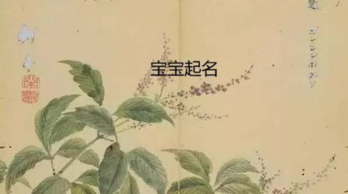 宝宝取名：虎宝宝取名 楚辞怎么样（虎宝宝取名字最佳字）