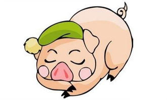 感情运势：猪男八月感情运势（八月属猪男婚姻怎么样）