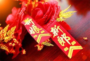 八字合婚：八字看合婚怎么看的准呢（从八字上怎样看合婚）