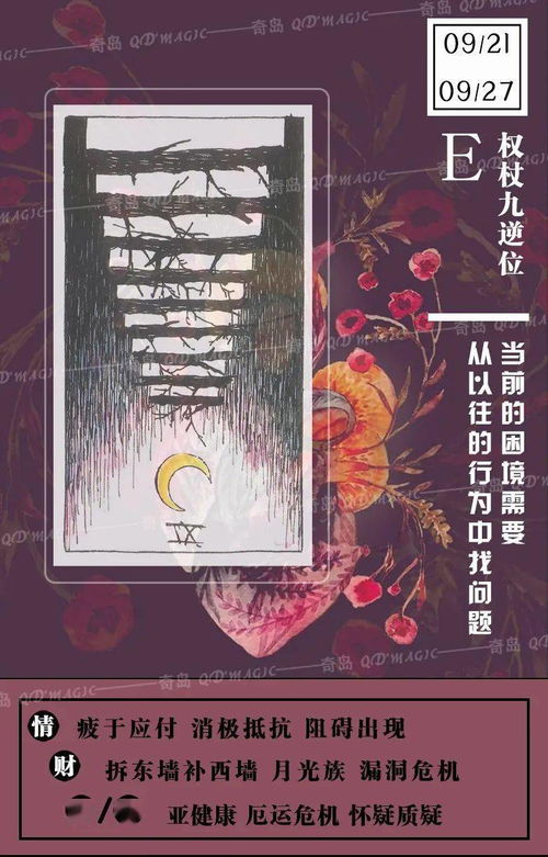 今日运势：今日运势塔罗工作（塔罗牌占卜今天的运势）
