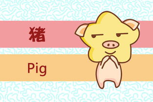 今日运势：生肖猪男生今日运势（生肖猪男生今日运势如何）