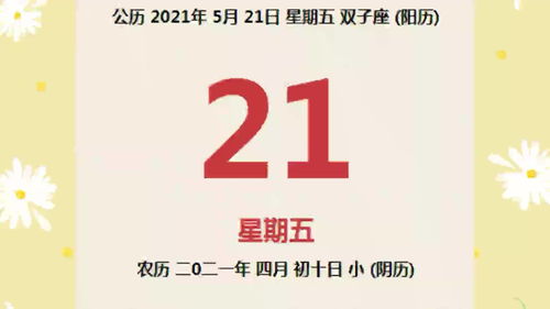 今日运势：兔今日运势位在哪（兔今日运程每日运势查询）