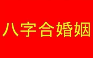 八字合婚：兔和猪的八字合不合婚配（兔和猪合不合适婚姻）