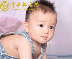宝宝取名：龙宝宝姓沈莫怎么取名（沈什么龙好听的名字）