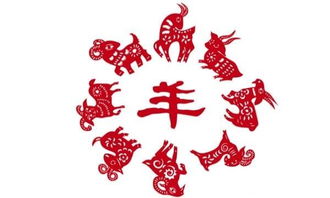 感情运势：2017生肖羊感情运势（2017生肖羊感情运势如何）