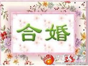 八字合婚：蛇兔生辰八字合不合婚姻（蛇兔生辰八字合不合婚姻呢）