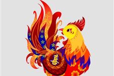 八字合婚：虎龙八字合不合婚姻呢女（虎龙婚姻与命运）
