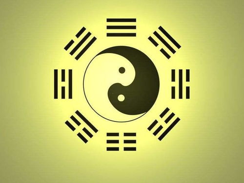 八字合婚：属龙与猴八字合不合婚姻（属龙和猴相配好不好）